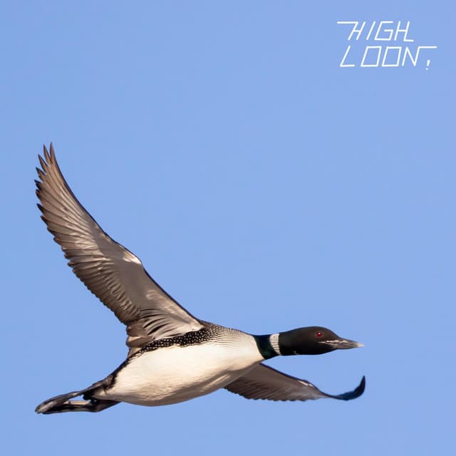 Cover art for "High Loon!"