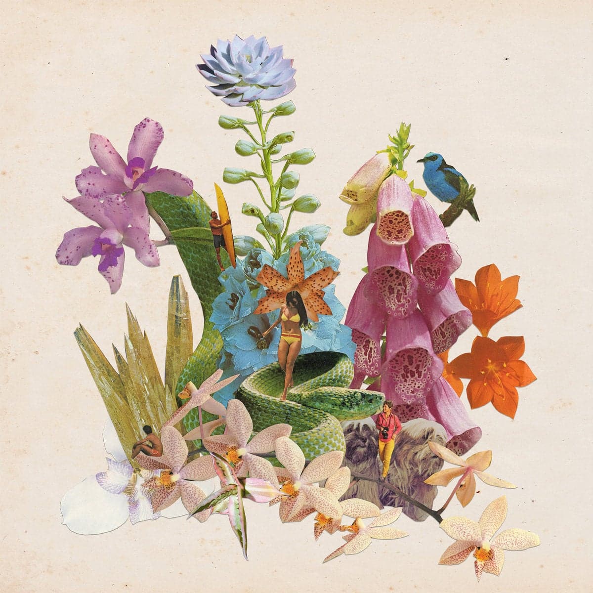 Cover art for "Mystery Cove"